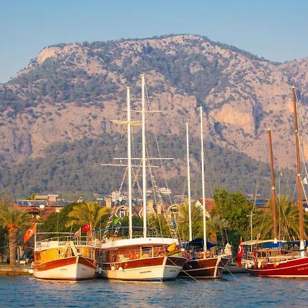Dilara Villa *